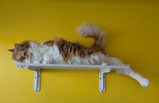 PXL_20260127_214643723