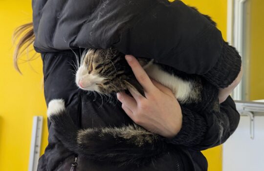 PXL_20260208_182429092