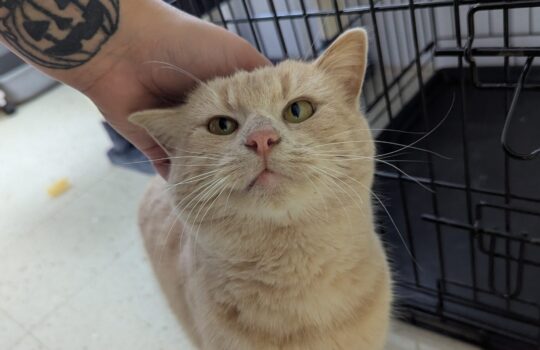 PXL_20260209_211123304 (1)