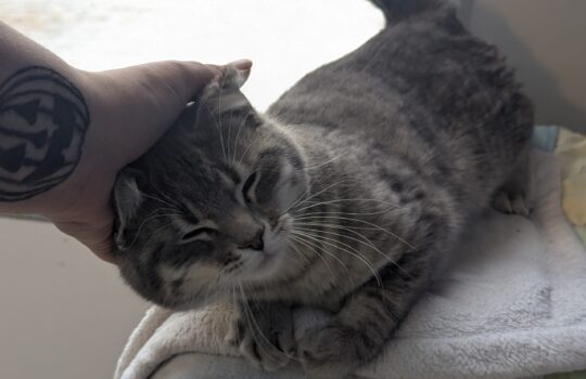 PXL_20260210_214353695