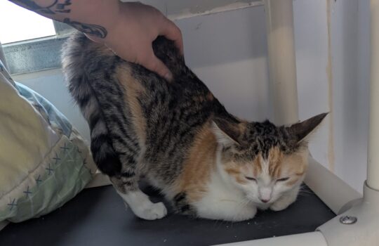 PXL_20260210_214452311