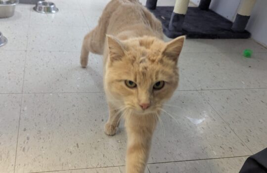 PXL_20260210_214636801