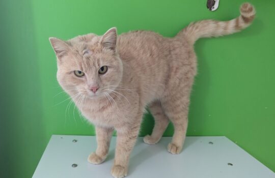 PXL_20260210_214754699