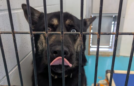 PXL_20260211_213325155