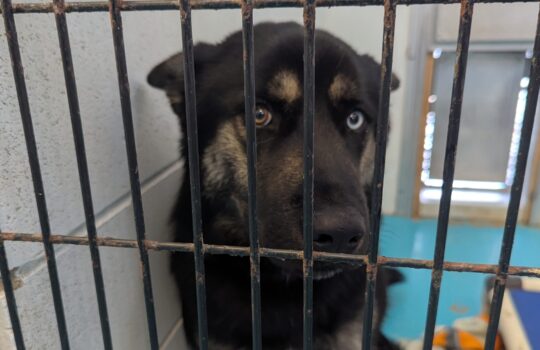 PXL_20260211_213331376