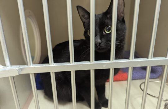 PXL_20260212_000423099