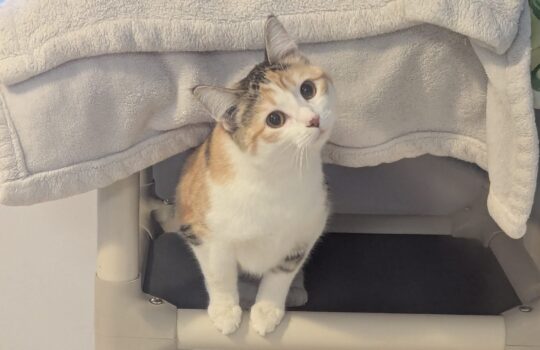 PXL_20260214_133509987