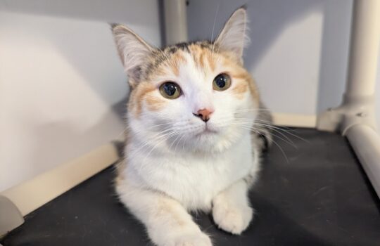 PXL_20260214_134625279