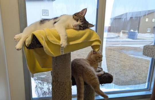 PXL_20260214_225843998