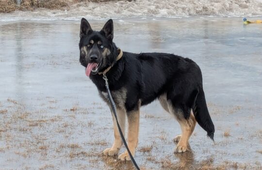 PXL_20260217_203008326