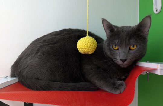 PXL_20260224_201714176