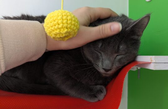 PXL_20260224_201840539