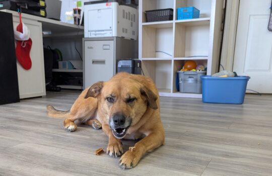 PXL_20260205_174334268