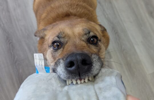 PXL_20260205_174648767