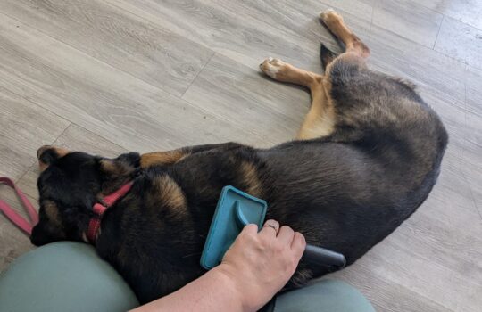 PXL_20260304_200603080