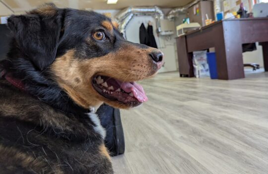 PXL_20260304_201532847