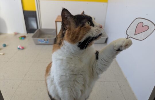 PXL_20260309_171240941