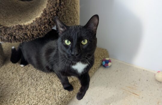 PXL_20260309_171343521