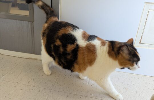 PXL_20260309_171345788