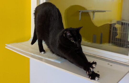 PXL_20260310_174845684