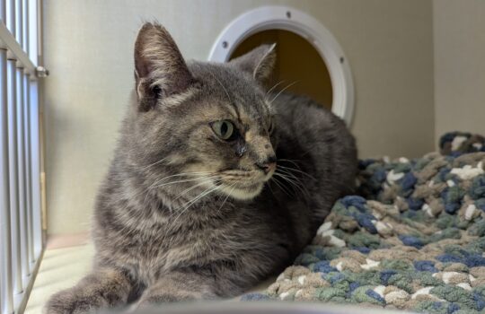 PXL_20260310_222731471