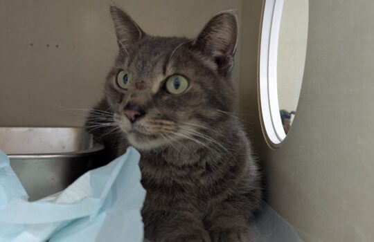 PXL_20260310_222810396