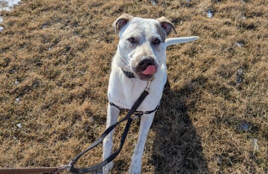 PXL_20260311_212534545