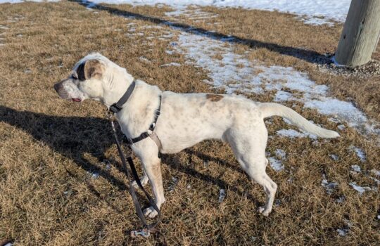 PXL_20260311_212604666