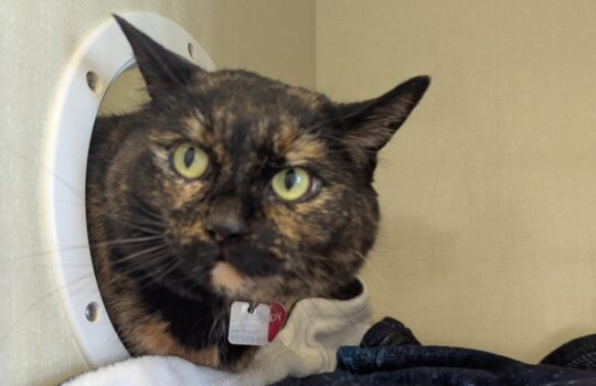 PXL_20260318_212847921