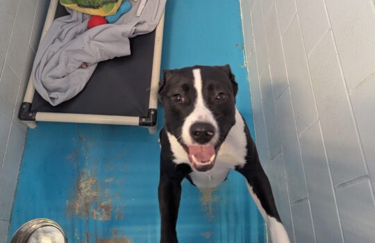 PXL_20260317_202831520 (1)