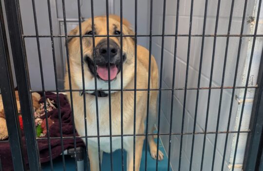 PXL_20260317_202846881