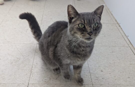 PXL_20260318_162810942