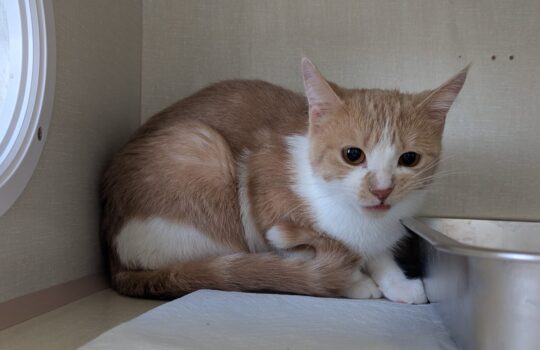 PXL_20260318_202005732 (1)