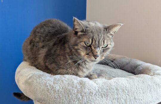 PXL_20260323_215208155