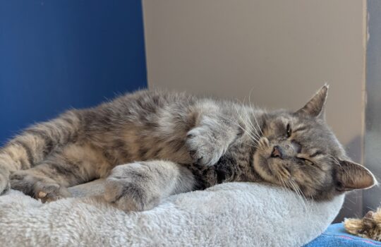 PXL_20260323_215319208