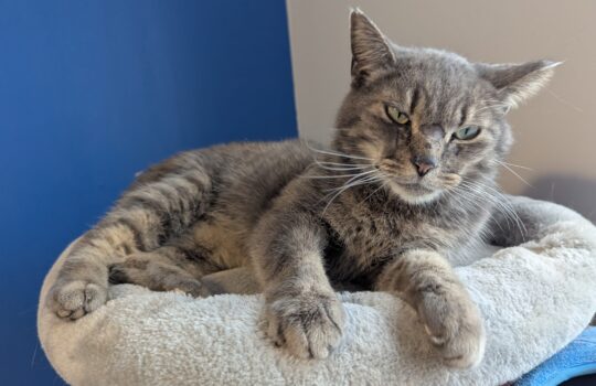 PXL_20260323_215321332