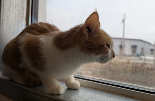 PXL_20260324_163412311