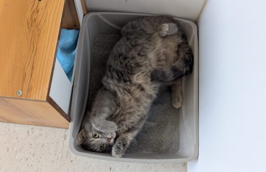 PXL_20260324_164005041