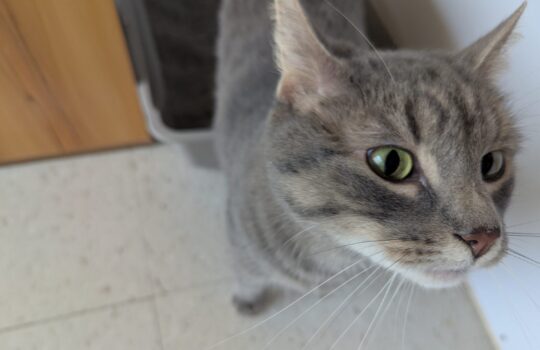 PXL_20260324_164021537