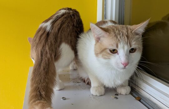 PXL_20260324_164403760