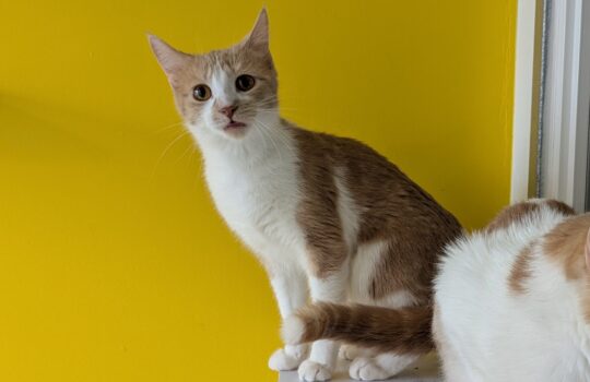 PXL_20260324_164408982 (1)