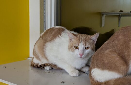 PXL_20260324_164446669