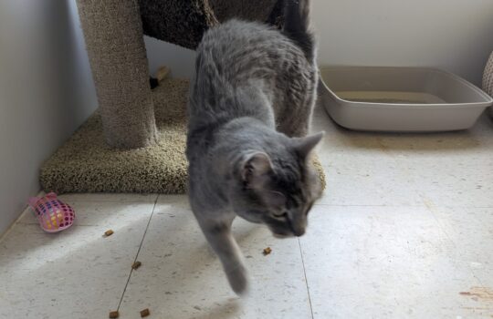 PXL_20260324_164549776