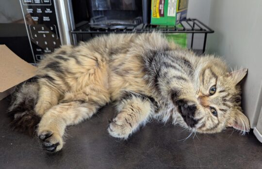 PXL_20260324_172450963