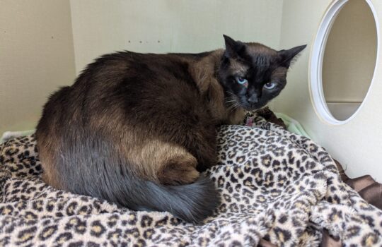 PXL_20260325_172850738