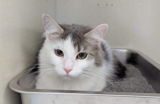 PXL_20260325_172940245