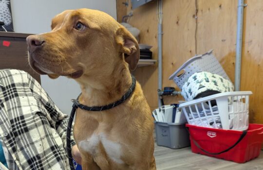 PXL_20260327_190630566