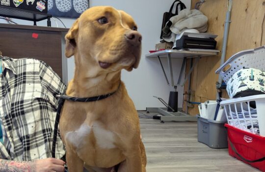 PXL_20260327_190638208