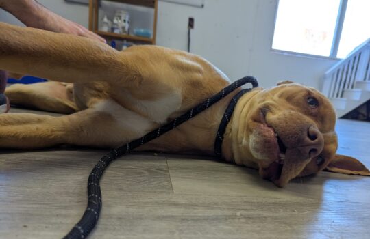 PXL_20260327_192813488