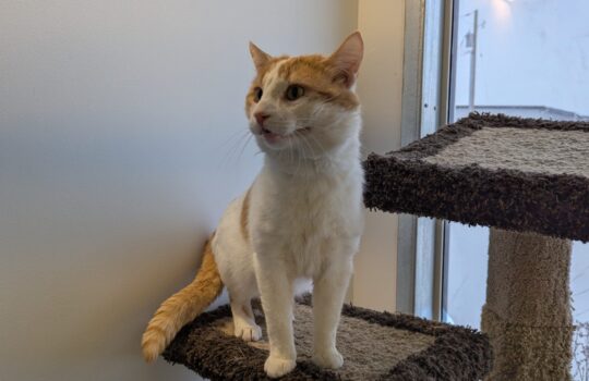 PXL_20260331_131113392